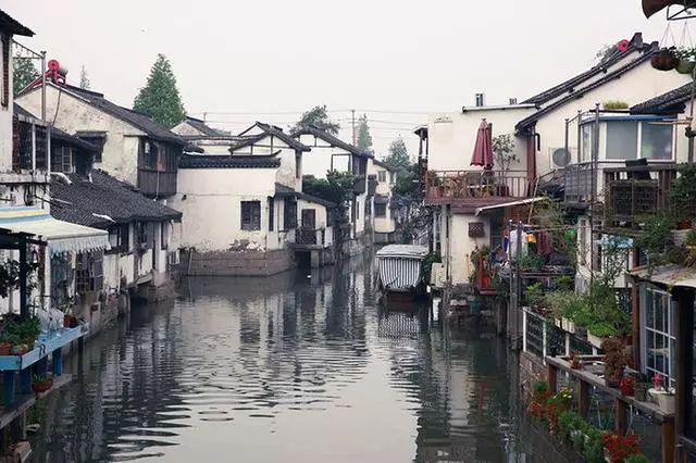 五彩鹦鹉救援